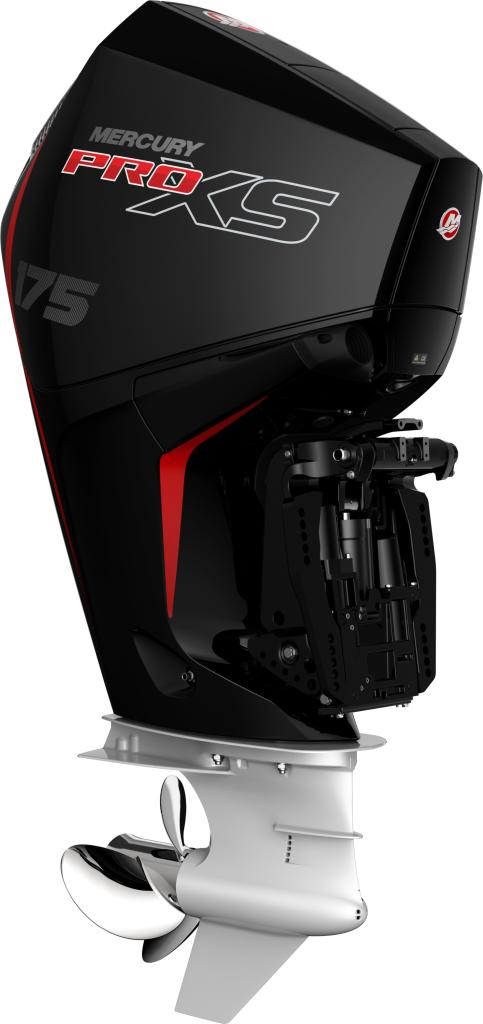 F 175 PRO XS XL V6 MS