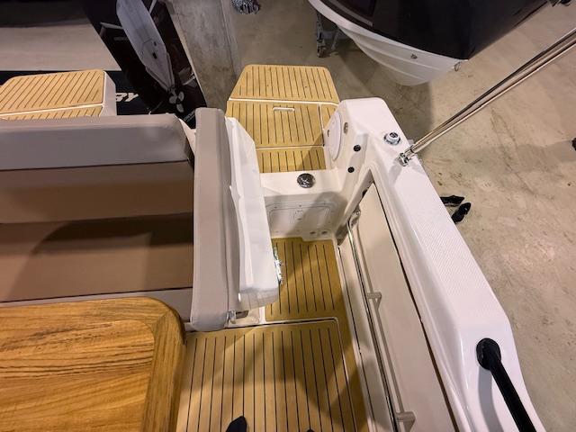 Activ 755 Sundeck mit 250 PS Activ 755 Sundeck mit 250 PS