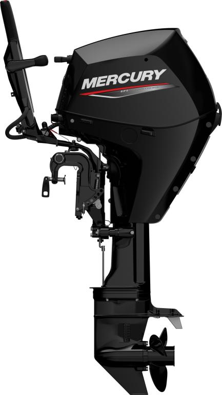 F 25 MH EFI