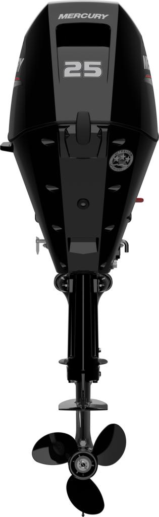 F 25 ELPT EFI
