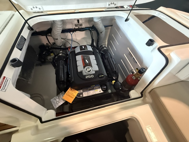 Bayliner VR5 Cuddy IB mit Mercruiser 4.5l (250PS)