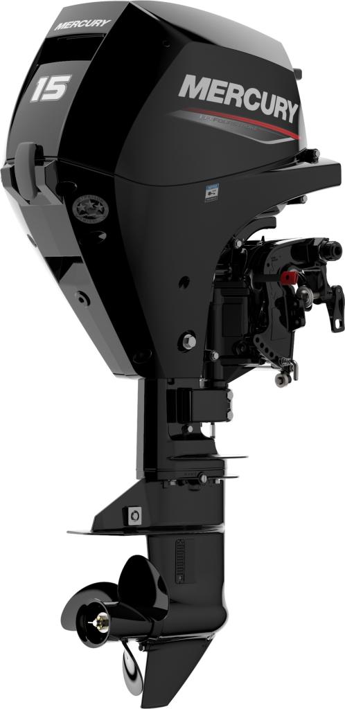 F 15 ELPT EFI