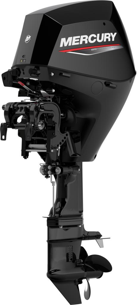 F 25 MH EFI