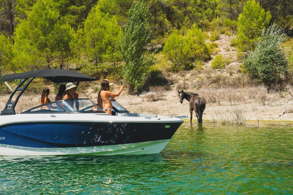 V20 Bowrider Outboard 200PS