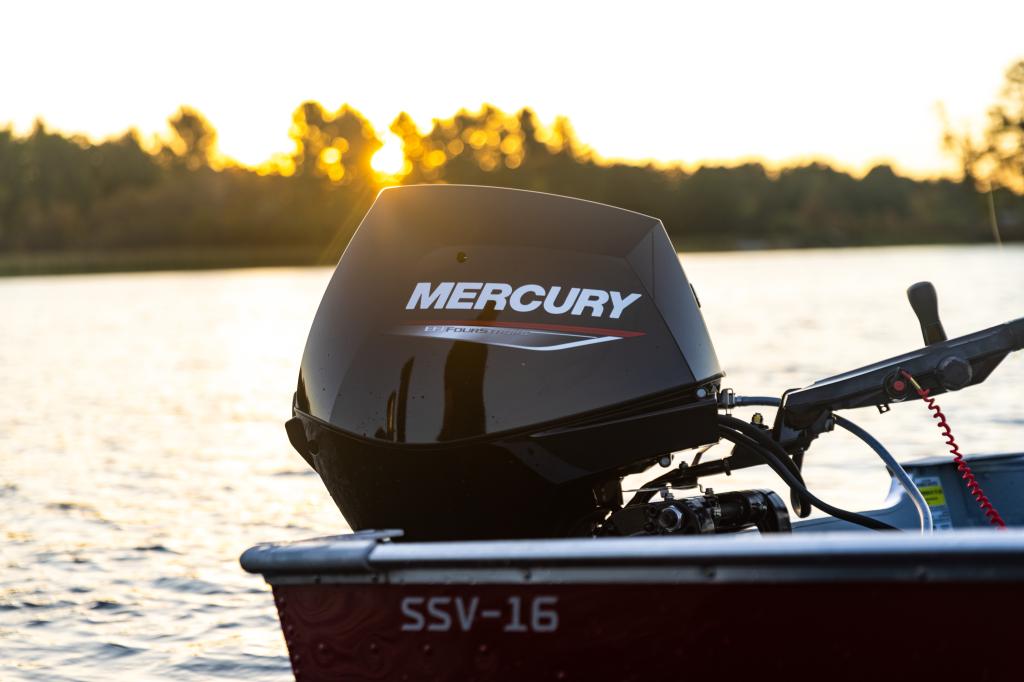 Mercury F 30 EPT EFI