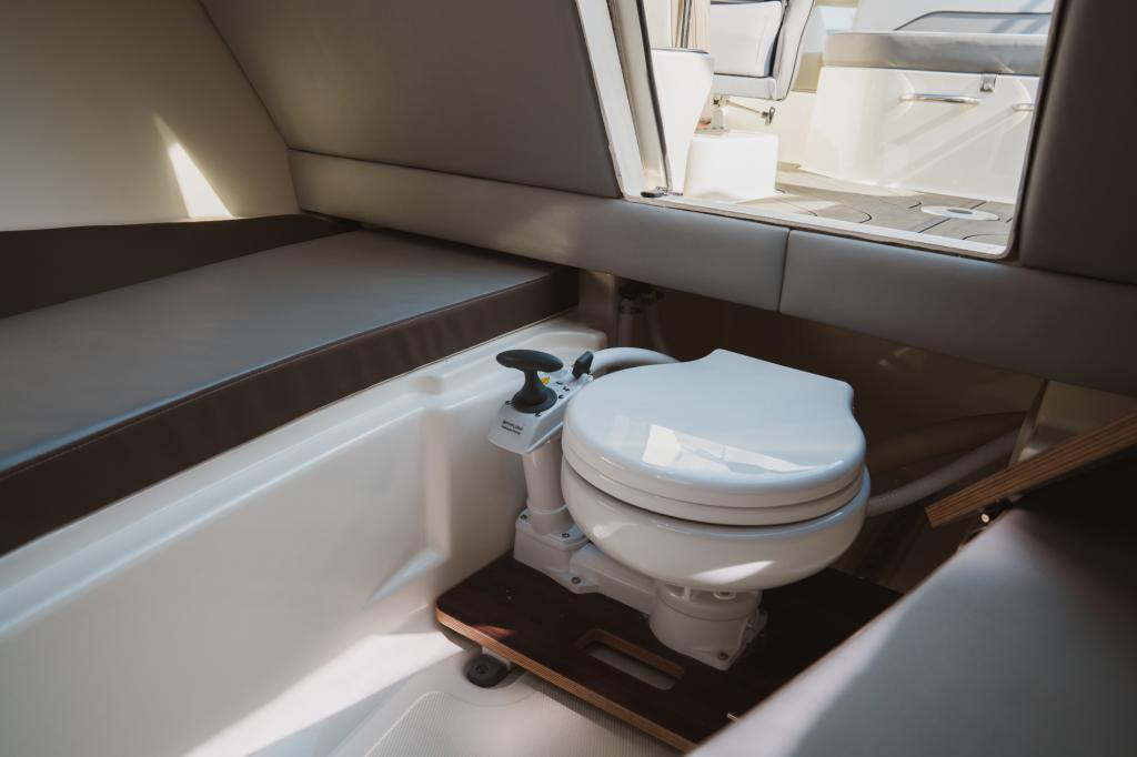 C21i Cuddy IB Premiere