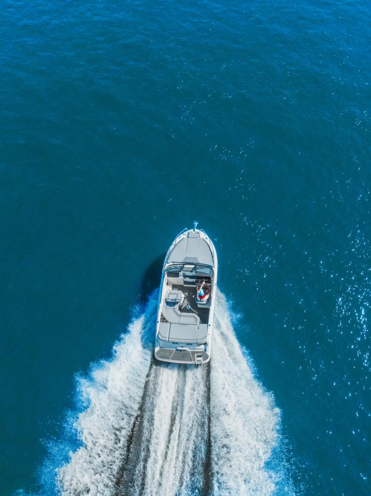 C21i Cuddy IB Premiere