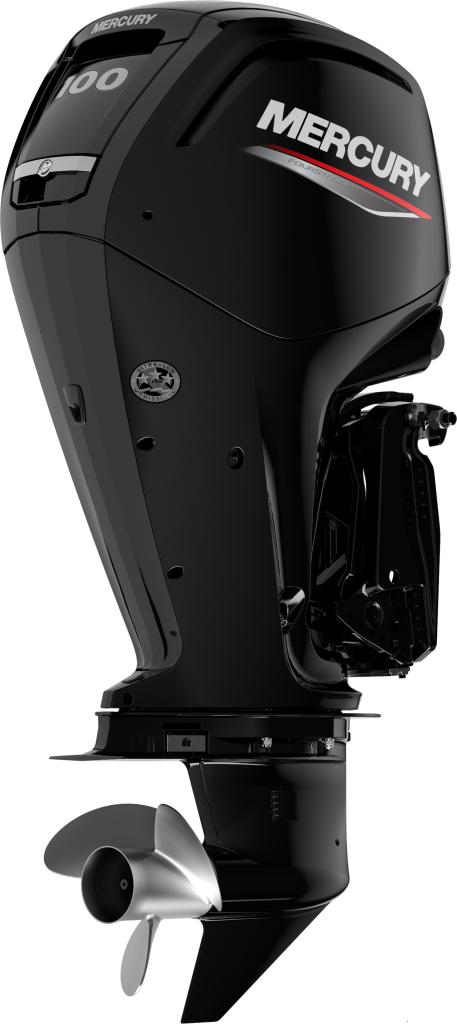 F 100 ELPT EFI