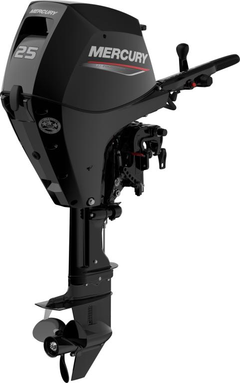 F 25 MH EFI