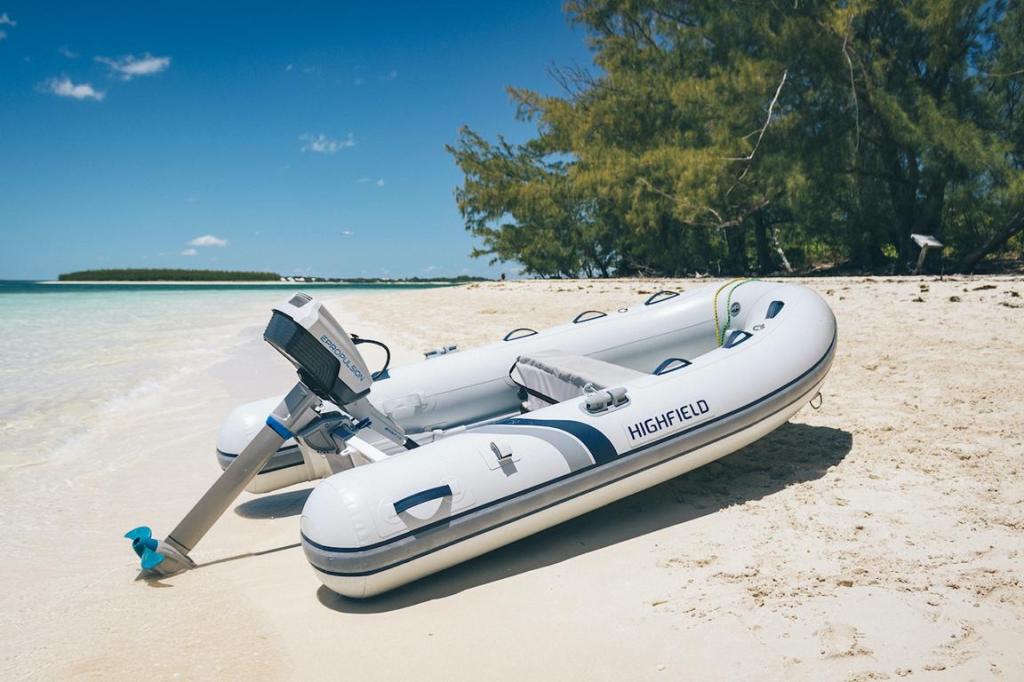 Spirit 1.0 PLUS Pinne E-Motor Langschaft
