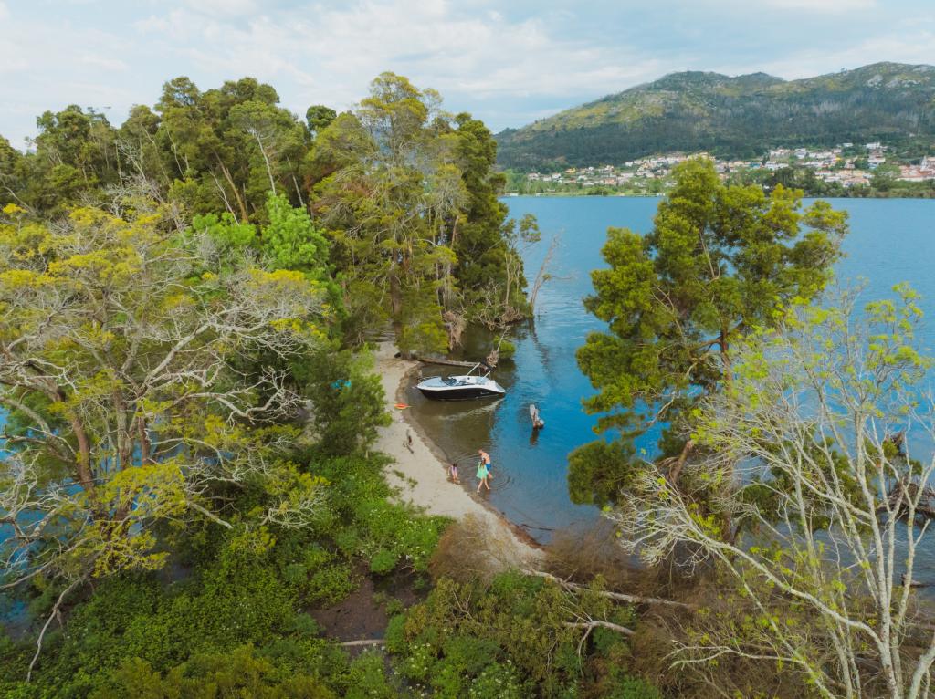 C21i Cuddy IB Premiere