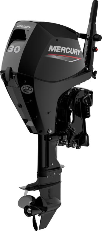 F 30 ELPT EFI