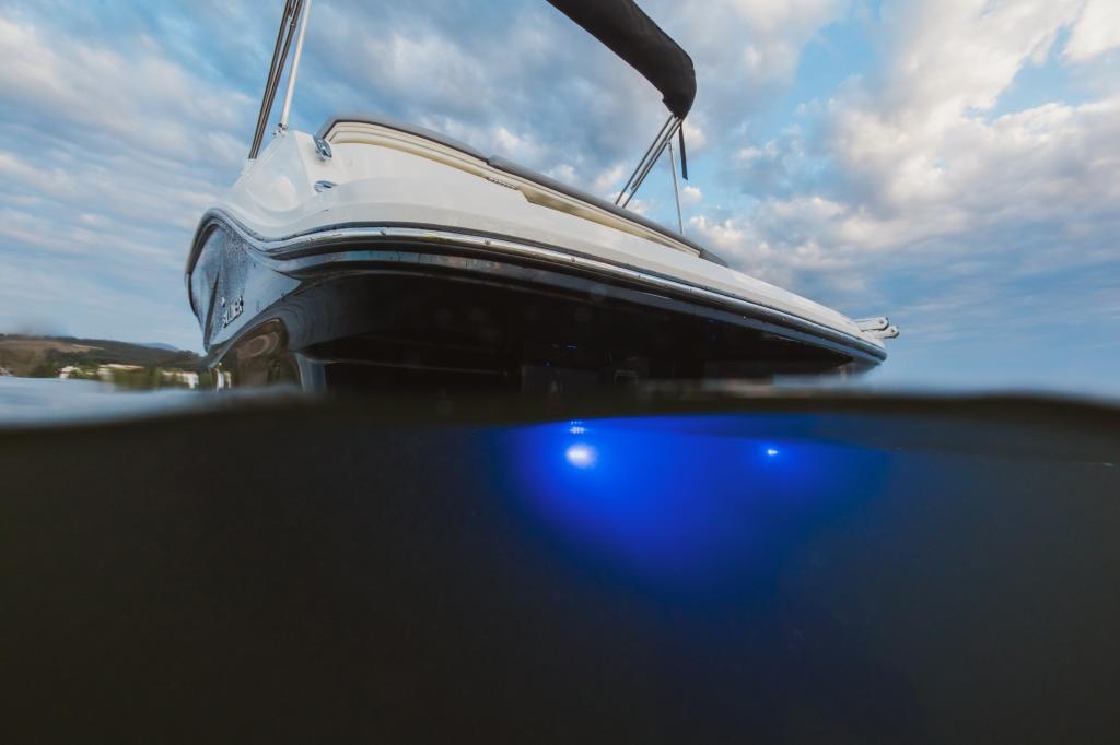 C21i Cuddy IB Premiere