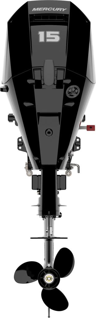 F 15 ELPT EFI