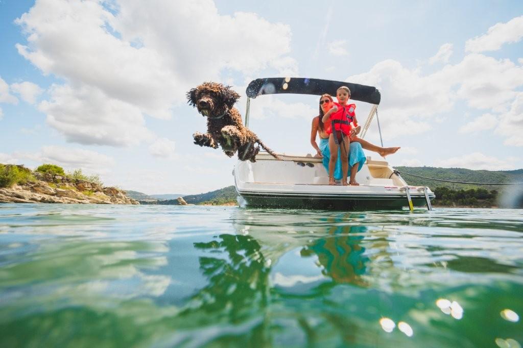 V20i Bowrider mit MerCruiser 4,5L 200PS