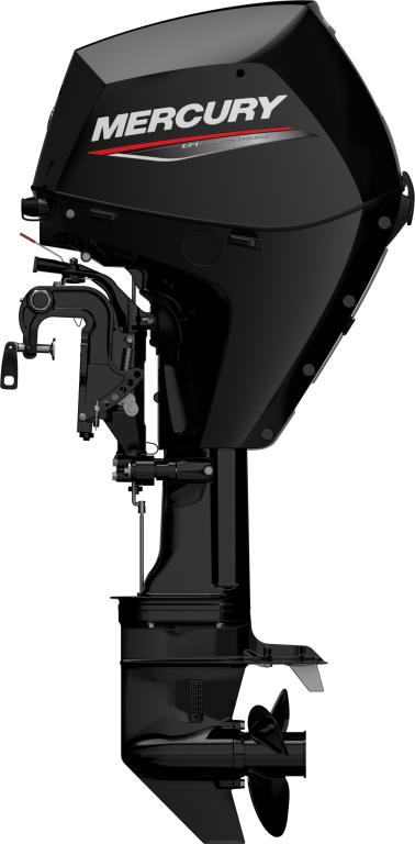 F 25 MH EFI