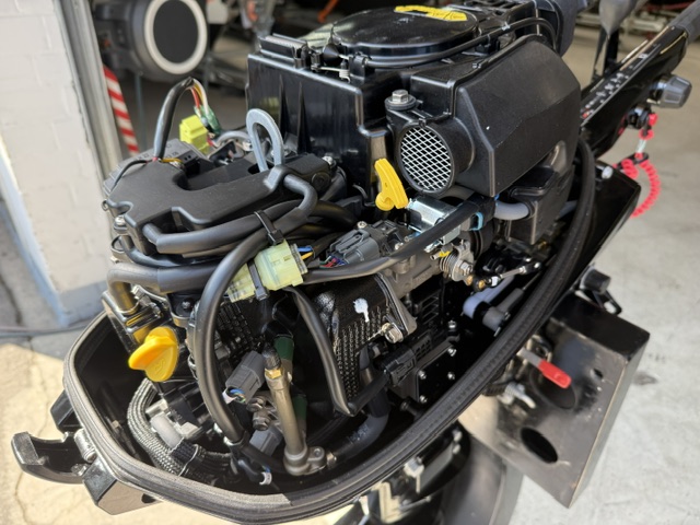 Mercury F 15 EH EFI Gebraucht