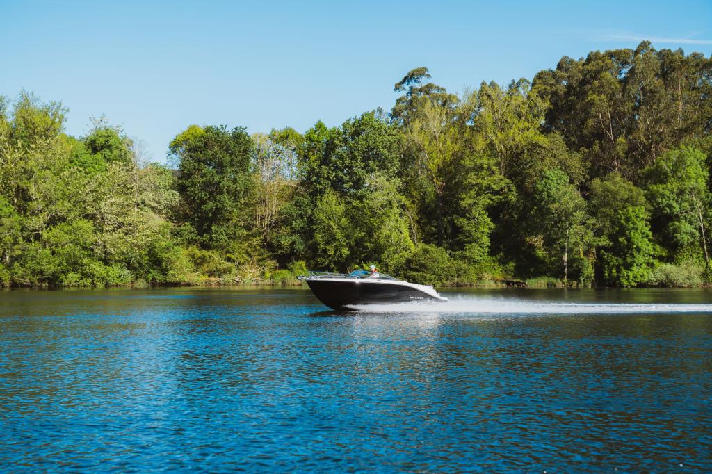 C21i Cuddy IB Premiere