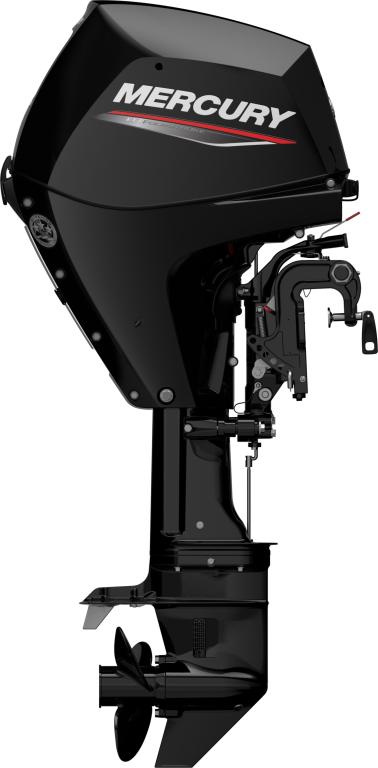 F 25 MH EFI