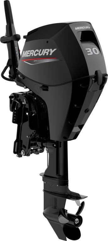 F 30 ELPT EFI