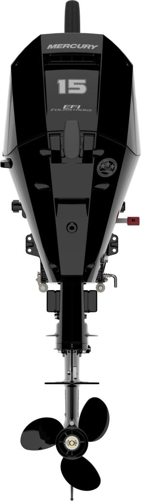 F 15 MH EFI Seapro