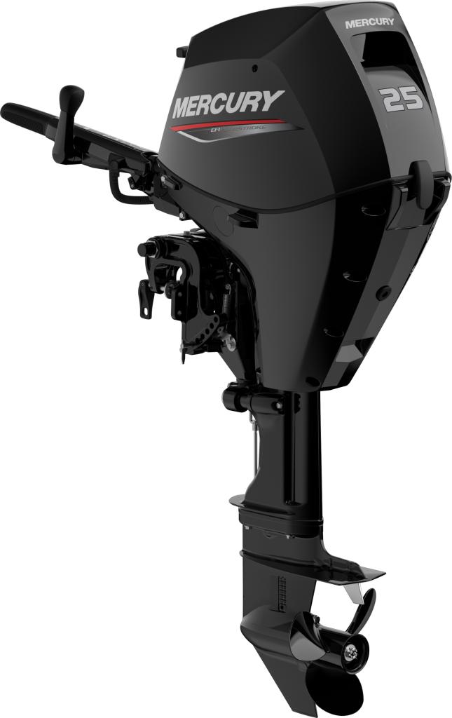 F 25 MH EFI