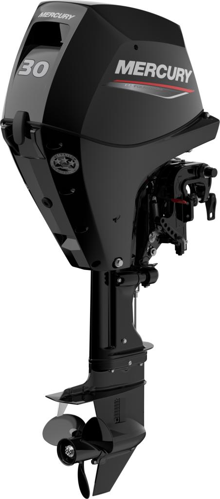 F 30 MH GA EFI