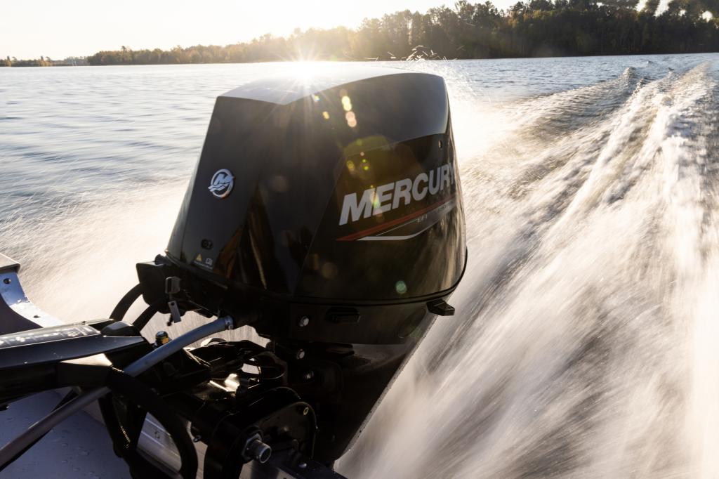 Mercury F 30 EPT EFI