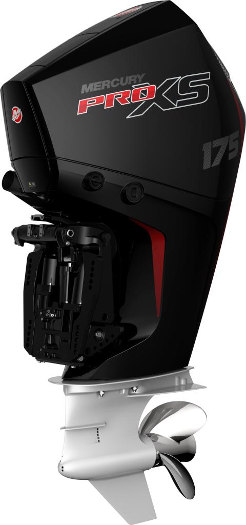 F 175 PRO XS XL V6 DS