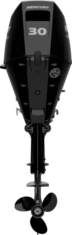 F 30 EPT EFI