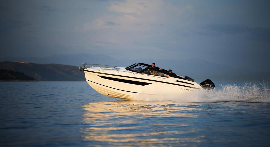 800 Cruiser 800 Cruiser